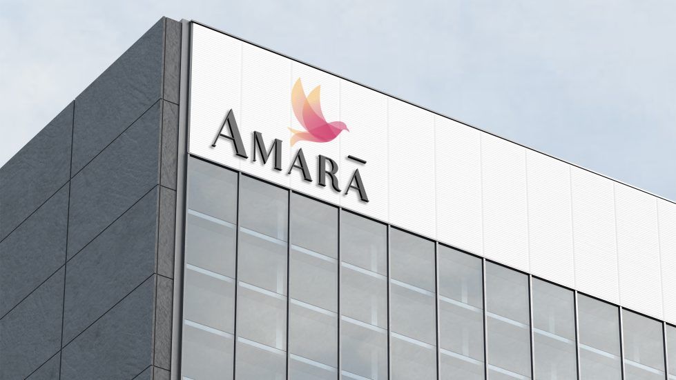 Embassy Amara