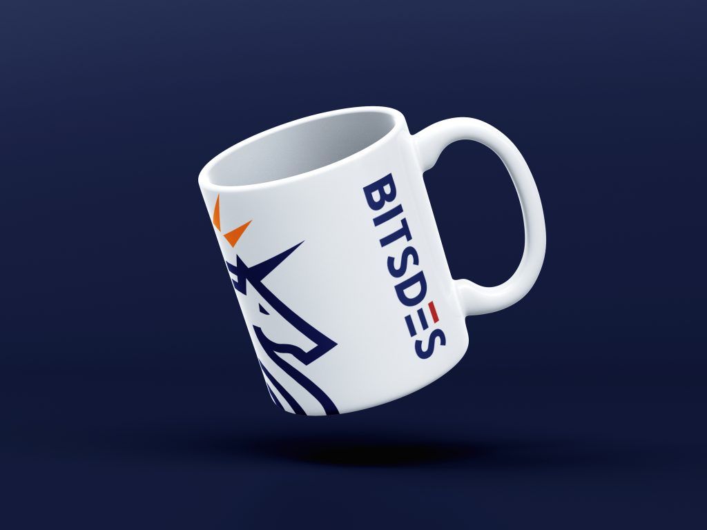 BITSDES
